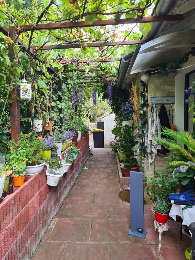 Cozy Room With A Beautiful Garden View Baunatal Exterior photo
