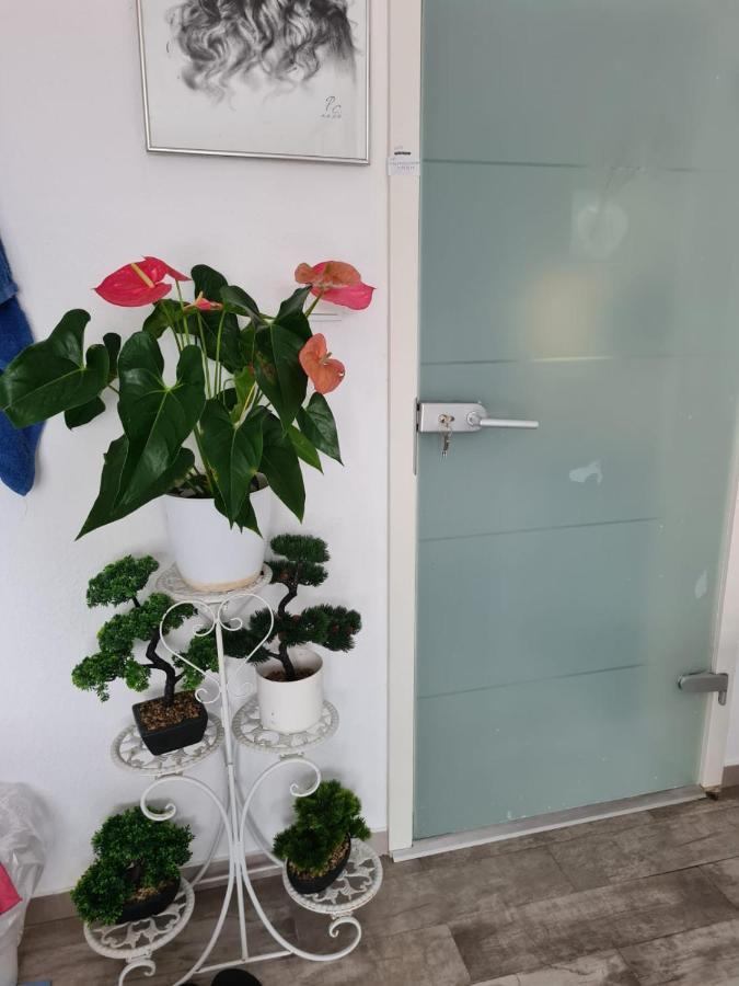 Cozy Room With A Beautiful Garden View Baunatal Exterior photo