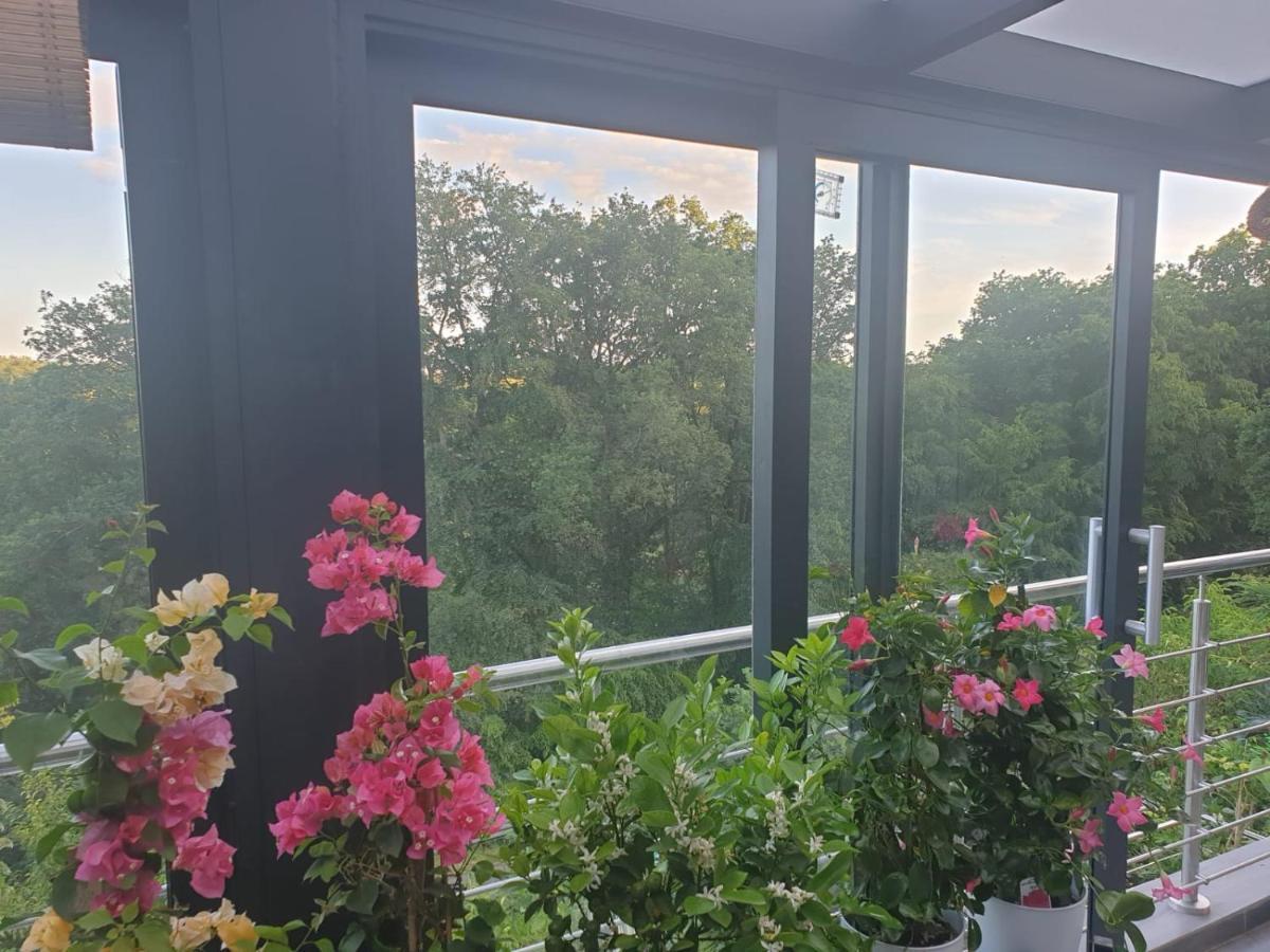 Cozy Room With A Beautiful Garden View Baunatal Exterior photo